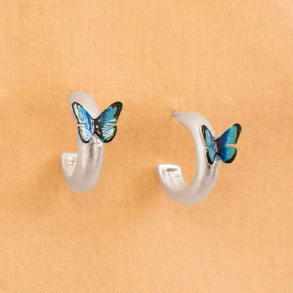 MINI CANDOGAS MORPHO